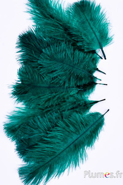 Struzzo Bellies - 8-13 cm - smeraldo